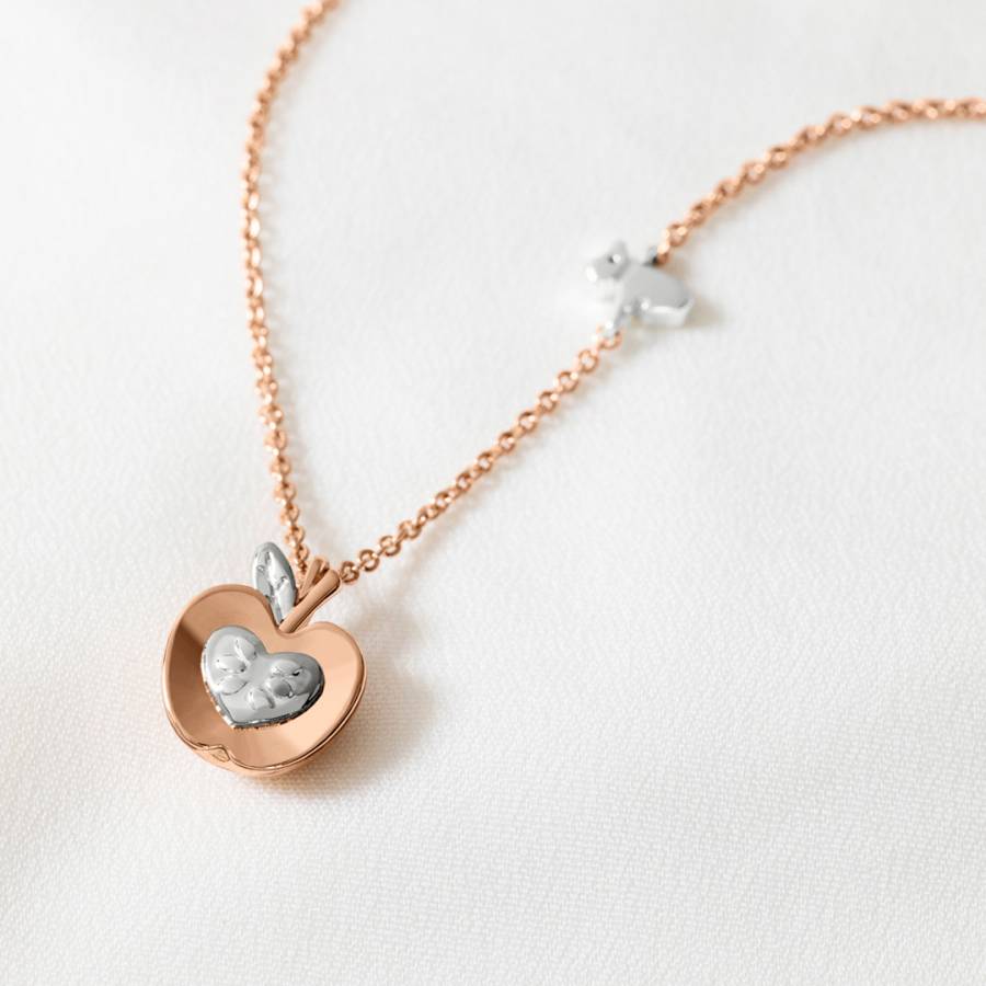 Radley Apple Necklace - Rose Gold Apple Pendant Chain